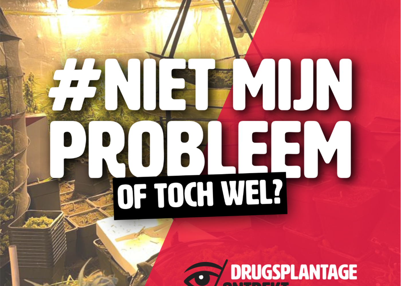 Mechelen - Vonnis in onderzoek naar cannabisplantage in Mechelen en Bonheiden